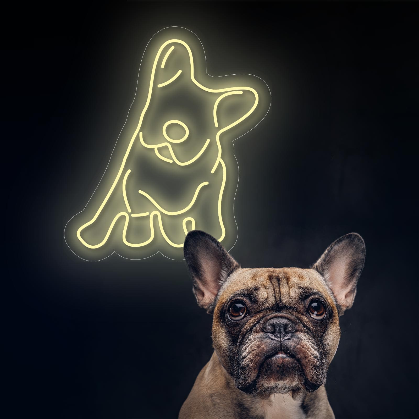 Bulldog Francês Néon - Miniatura 1