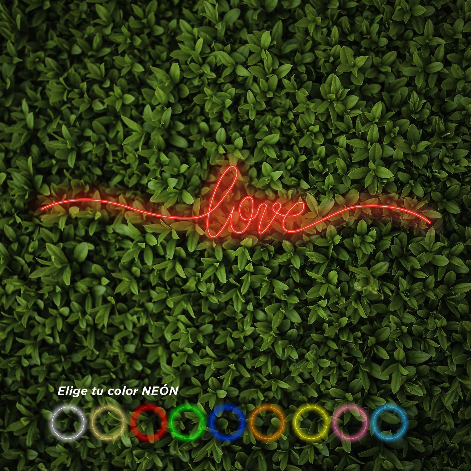 Néon Amour - Miniature 6